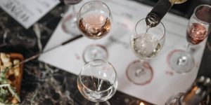 cata de vinos