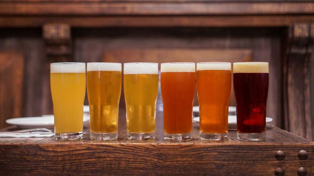 cata cervezas