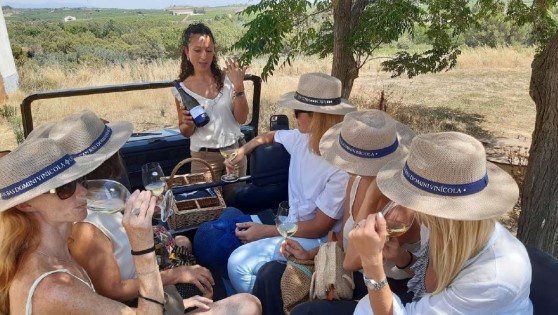 Events in wineries