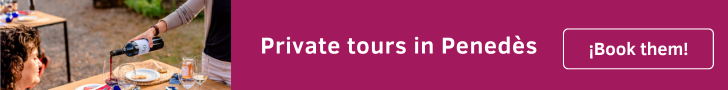 private tours in penedes