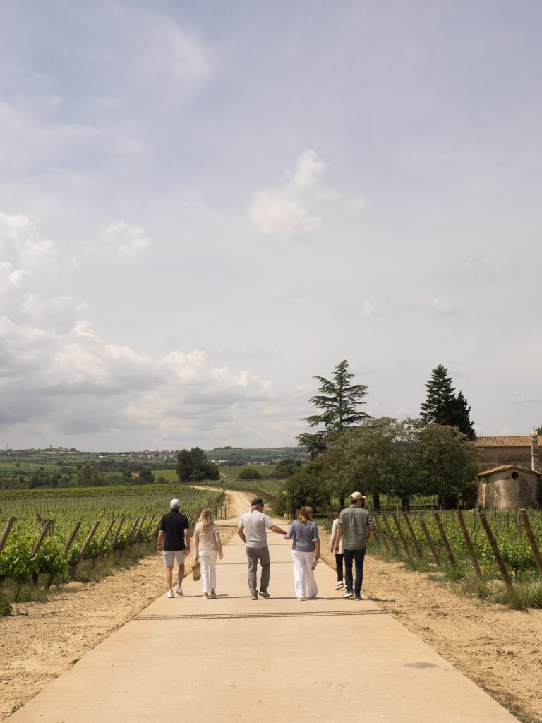 Guests walking through the vineyards during a private wine tour in Penedès.