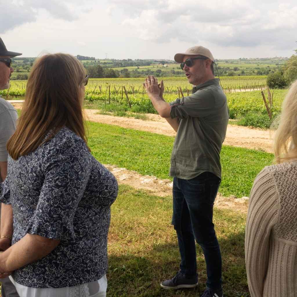 penedes wine tasting group